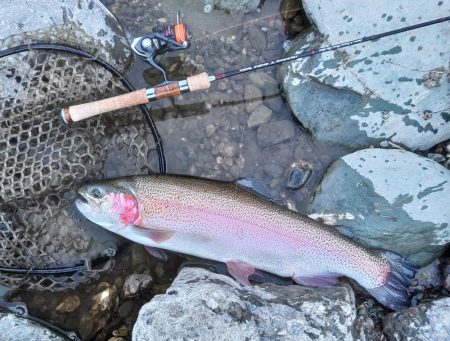 大型ばかり！ 天竜川ルアーフライ専用区